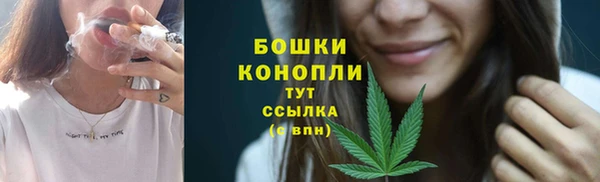 PSILOCYBIN Арсеньев