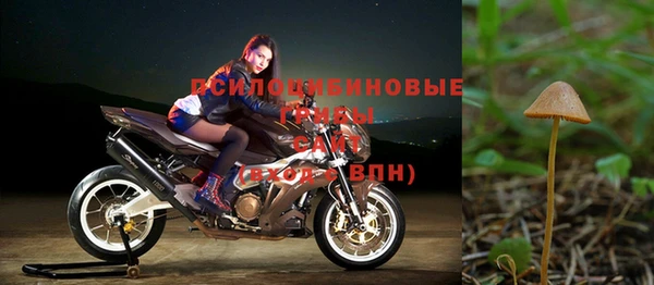 а пвп мука Армянск
